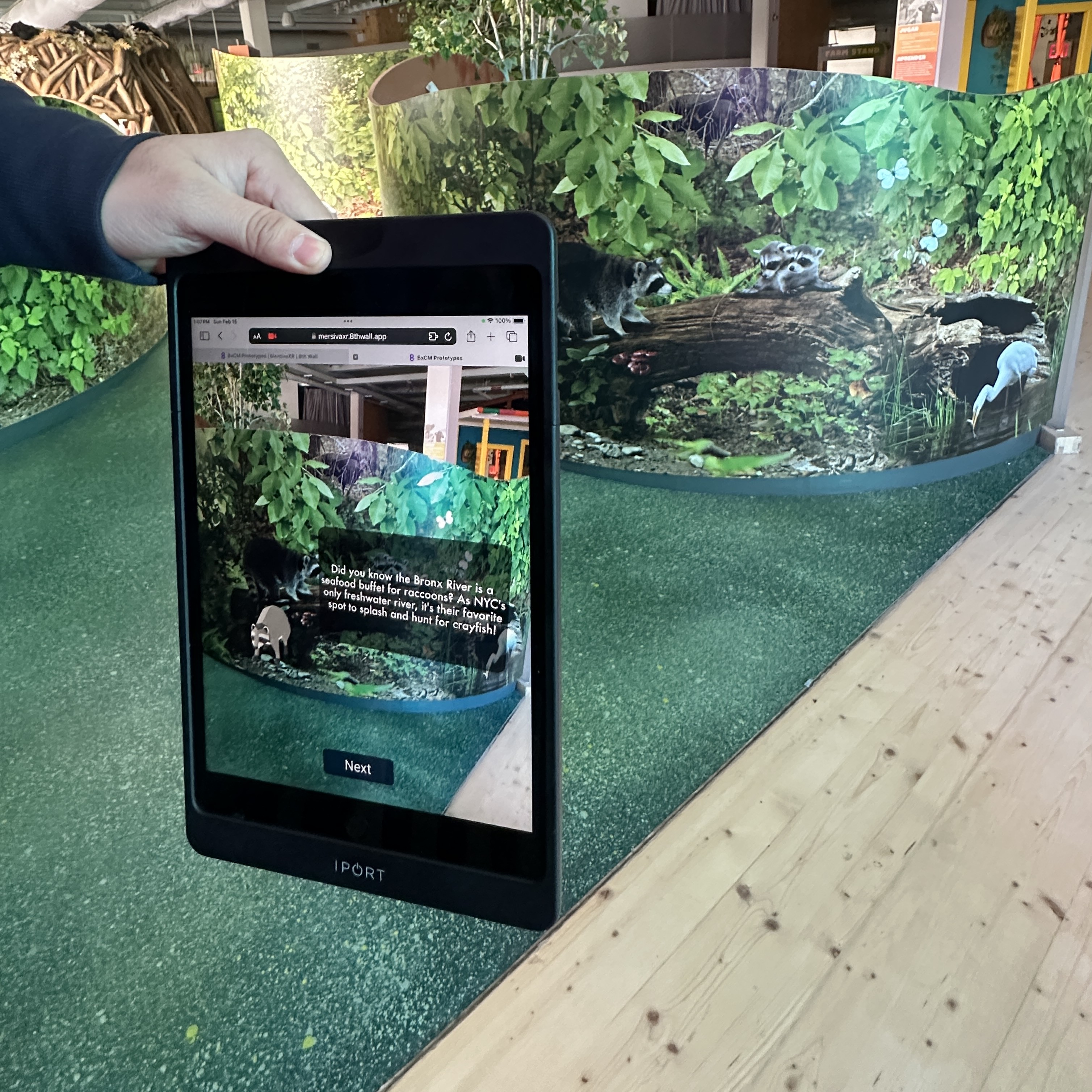 Digital Animal Encounters